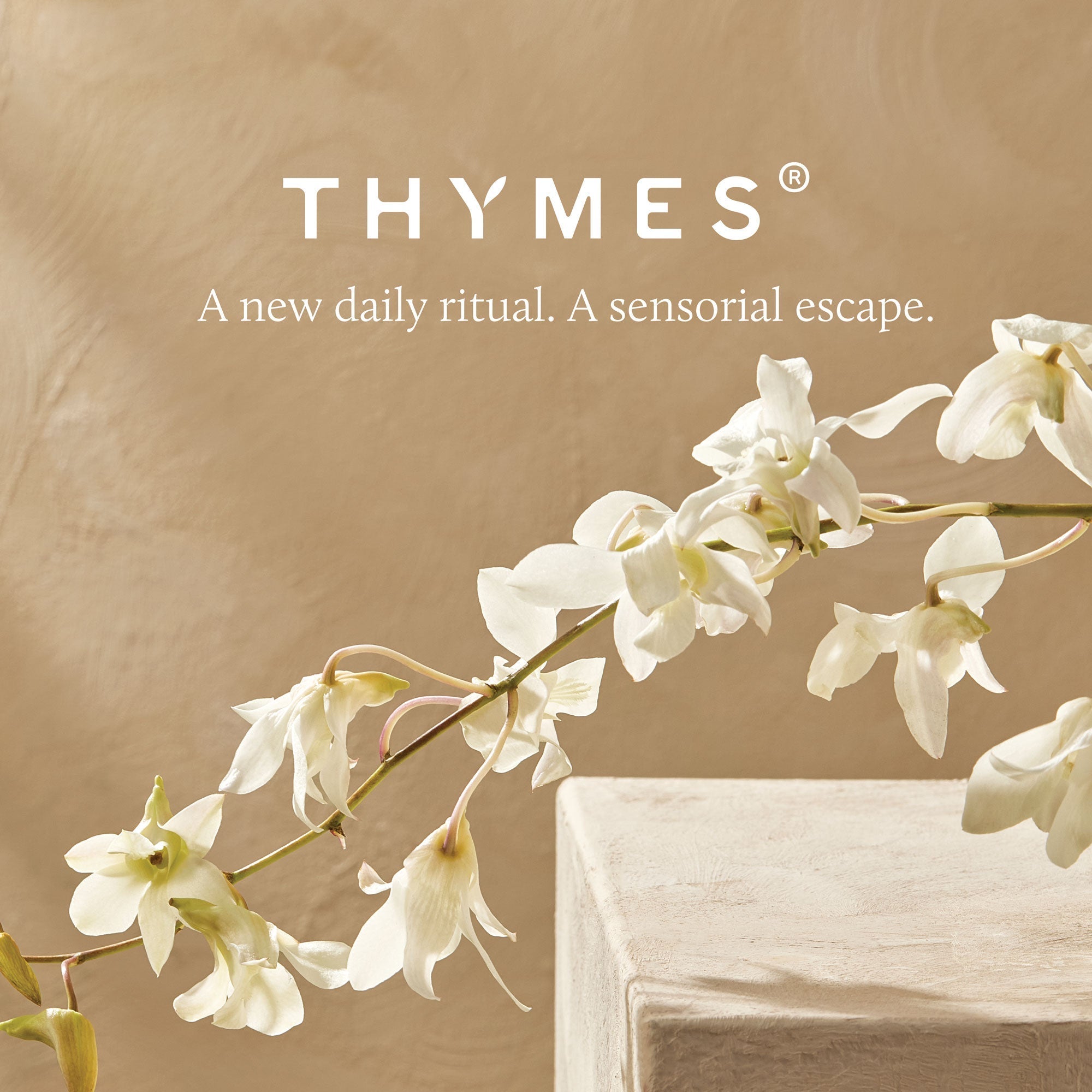 Eucalyptus Replenishing Hand Lotion