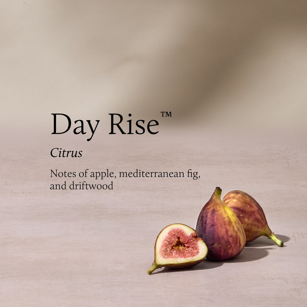 Day Rise 6.5 oz Poured Candle