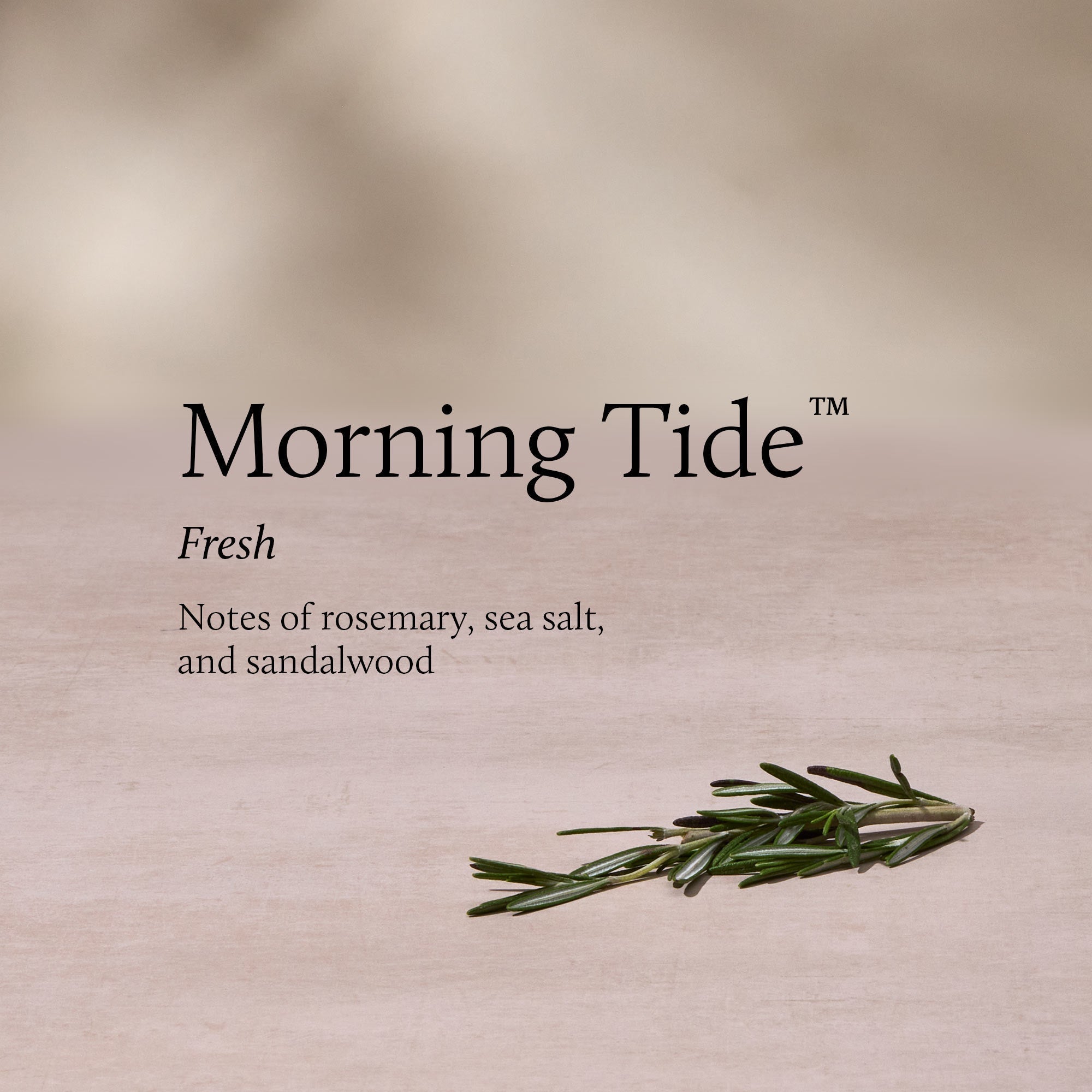 Morning Tide Home Fragrance Mist