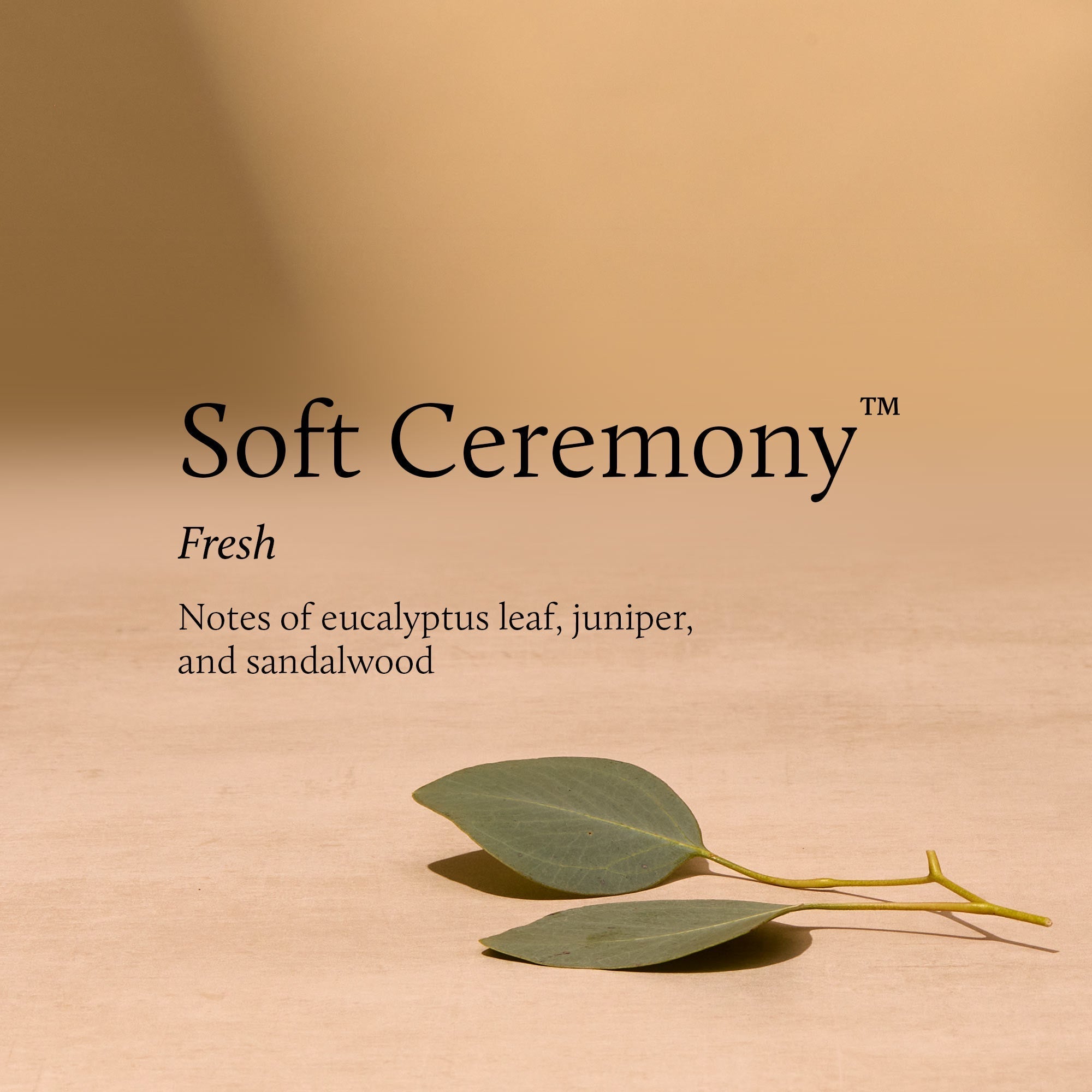 Soft Ceremony 6.5 oz Poured Candle