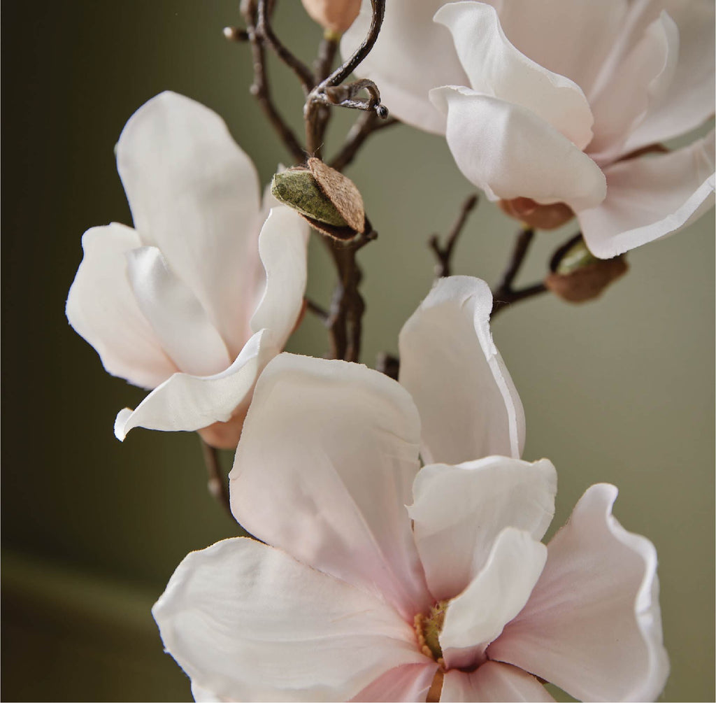 Magnolia Willow Reed Diffuser Oil Refill
