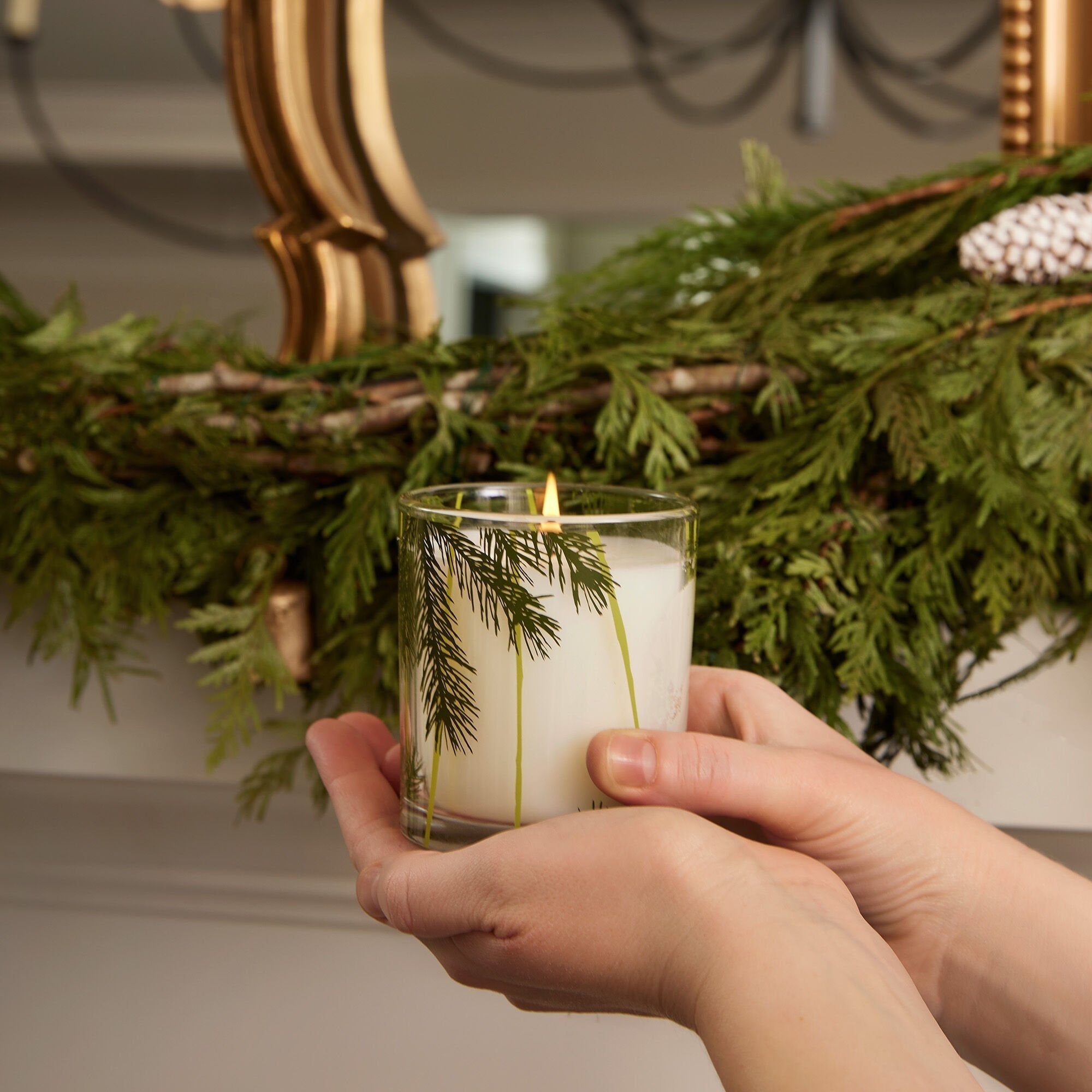 Frasier Fir® Pine Needle Candle