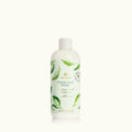 Fresh-Cut Basil Surface Scrub