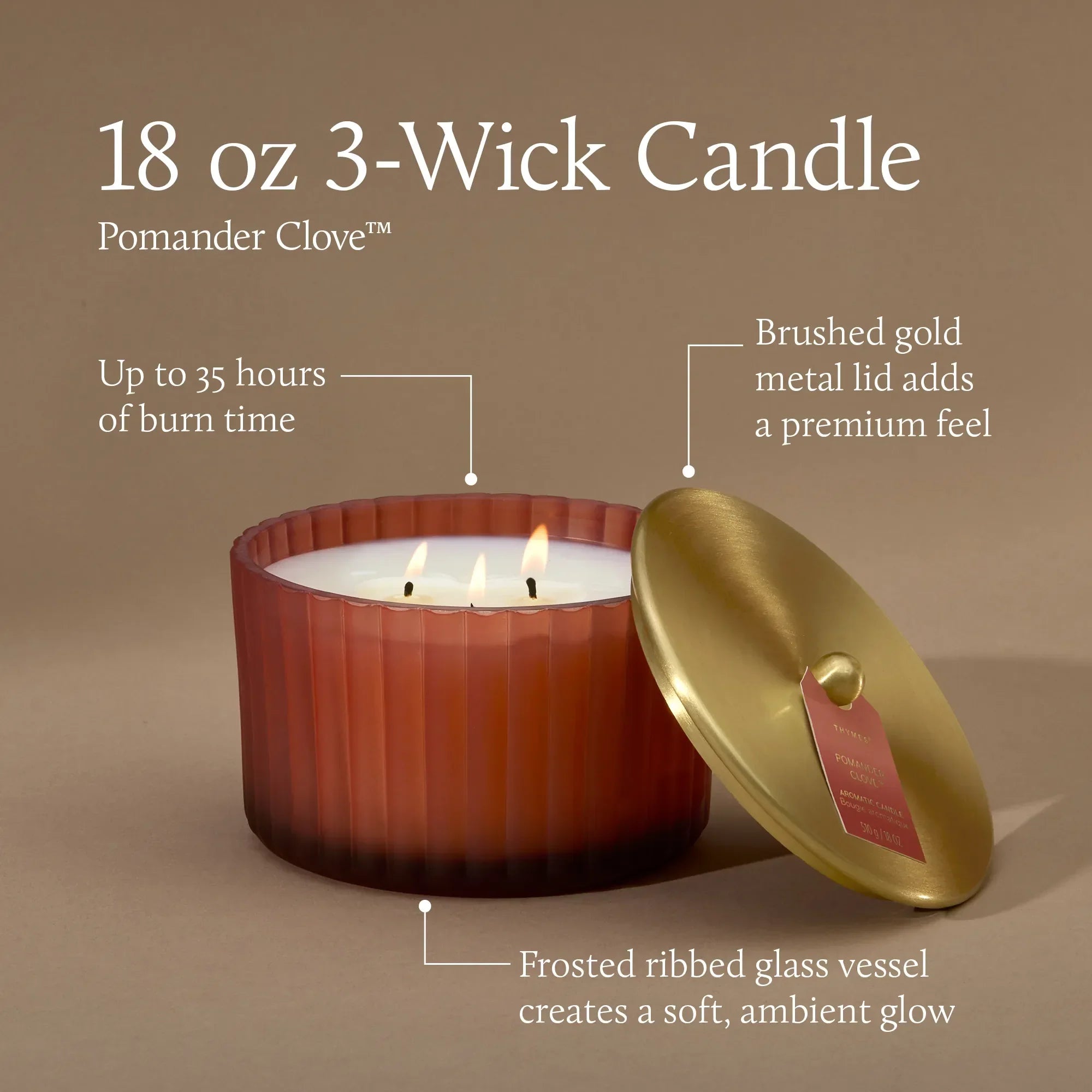 Pomander Clove 3-Wick Statement Candle 
