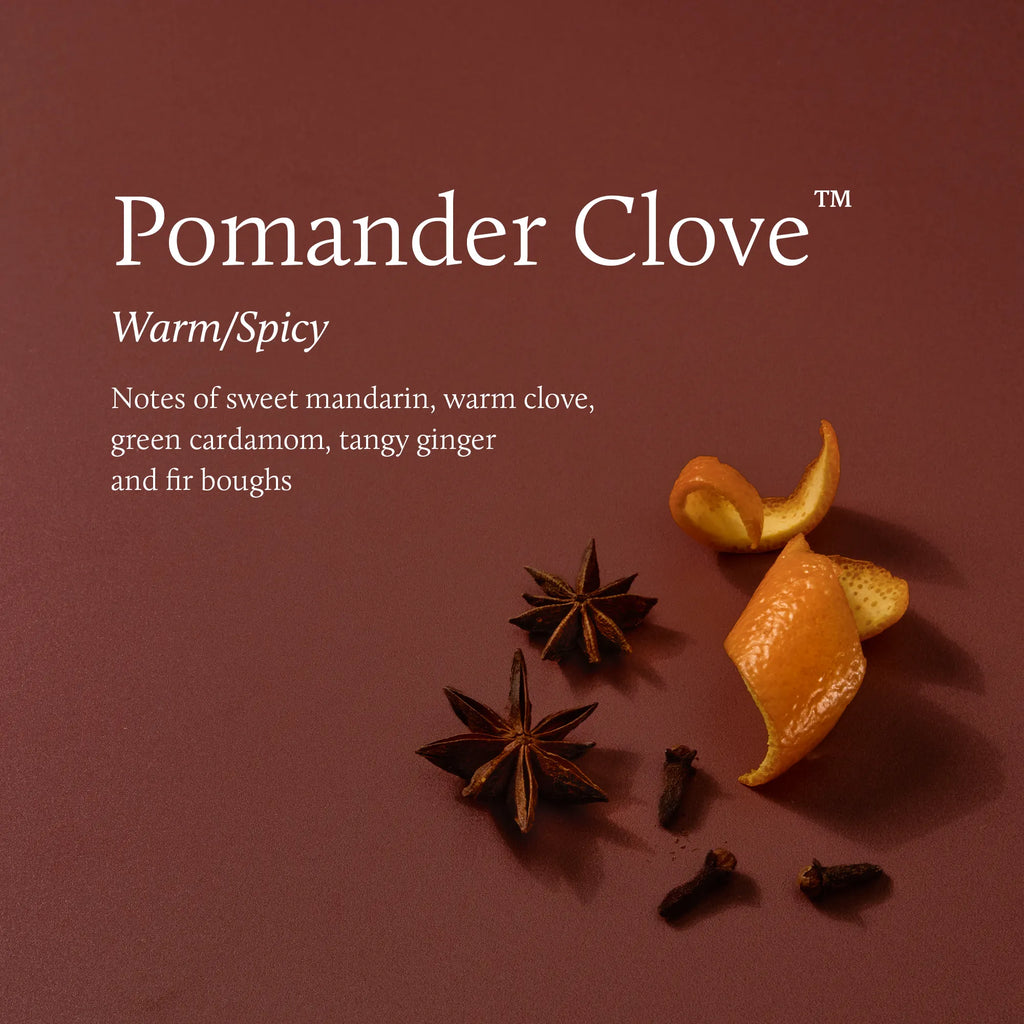 Pomander Clove 3-Wick Statement Candle 